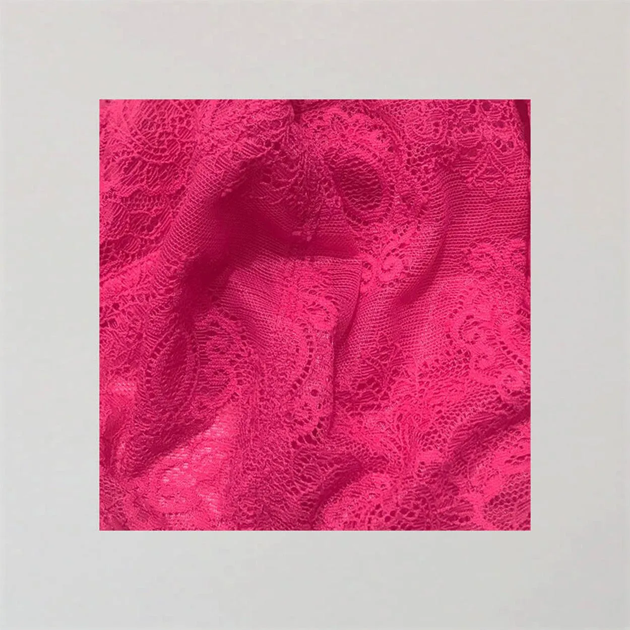 Baroque Lace Full Brief - Briar Rose