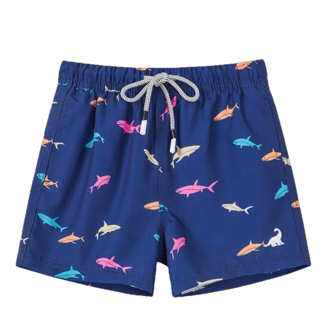 Fashionable Boys' Quick Dry Swim Trunks For Beach Board