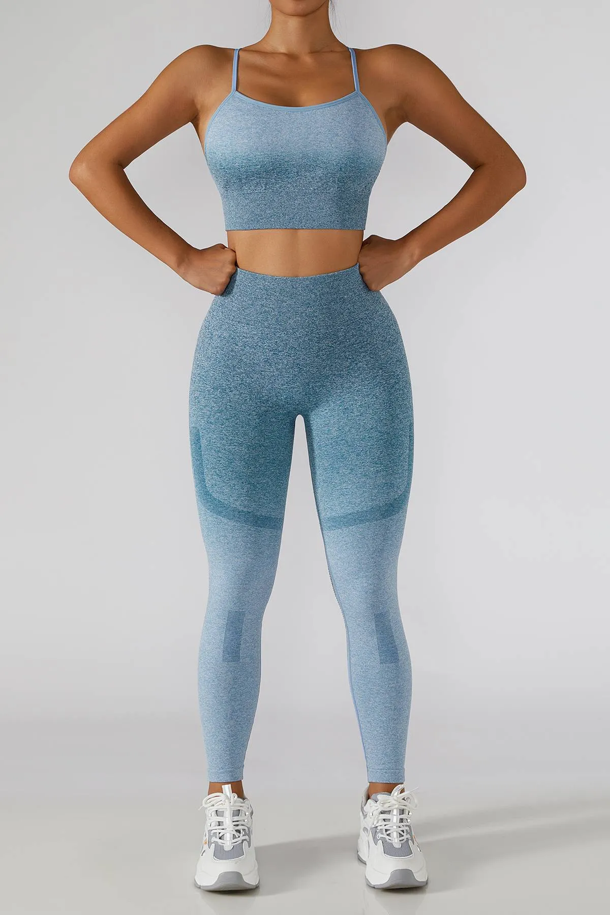 Ombre Seamless Butt Lifting Leggings